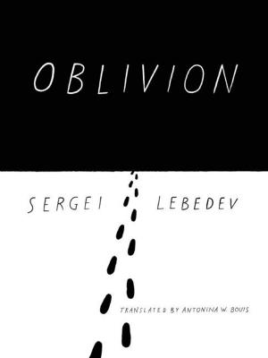Cover of the book Oblivion by Margriet de Moor