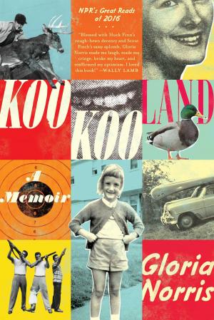 Cover of the book KooKooLand by John Gilmore