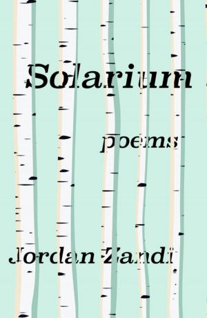 Cover of the book Solarium by Lia Purpura