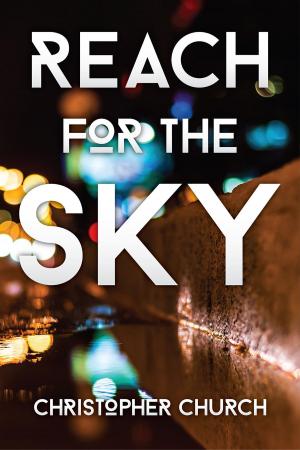 Cover of the book Reach for the Sky by Terry Barge