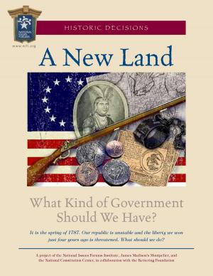 Cover of the book A New Land by Norman Desmarais