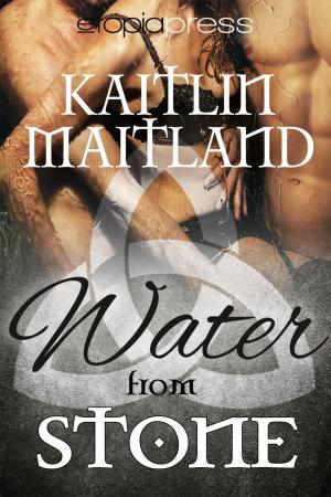 Cover of the book Water from Stone by CR Guiliano
