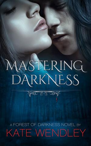 Cover of the book Mastering Darkness by Per Holbo