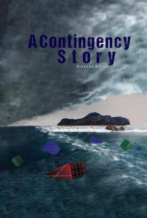 Cover of the book A Contingency Story by Smiley Face