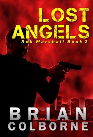 Book cover of Lost Angels