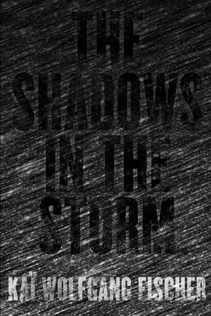 Cover of the book The Shadows in the Storm by Jonathan Hollerman