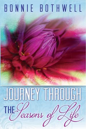 Cover of the book Journey Through the Seasons of Life by David Wright