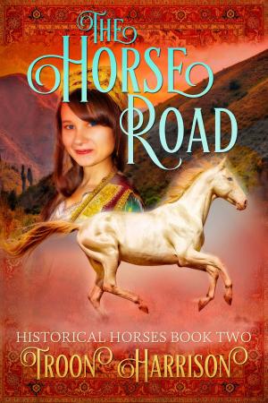 Cover of the book The Horse Road by Shelley Adina, Übersetzung Jutta Entzian-Mandel