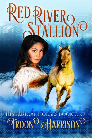 Cover of the book Red River Stallion by Shelley Adina, Übersetzung Jutta Entzian-Mandel