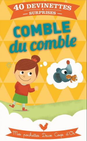 Cover of the book Comble du comble by Éric Mathivet