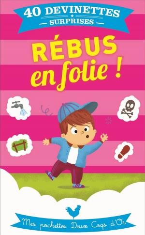 Cover of the book Rébus en folie by Virgile Turier, Pascal Naud