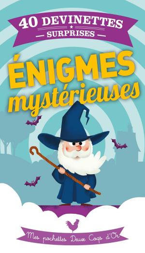 Cover of the book Enigmes mystérieuses by Fabienne Blanchut