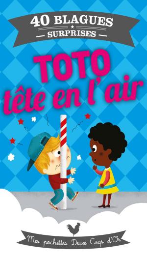 Cover of the book Toto tête en l'air by Gita V.Reddy