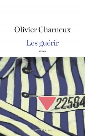 Cover of the book Les guérir by Alain GERBER