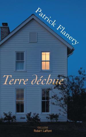 Book cover of Terre déchue