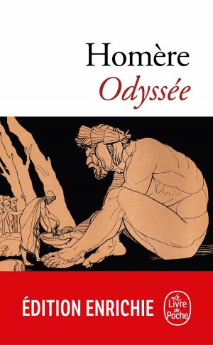 Cover of the book Odyssée by Brandon Sanderson