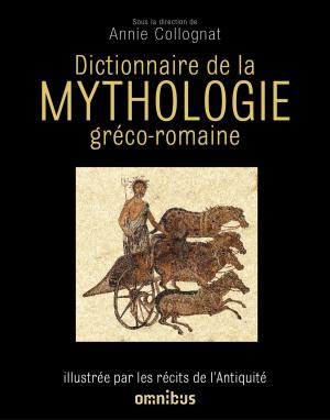 Book cover of Dictionnaire de la mythologie gréco-romaine - NE -