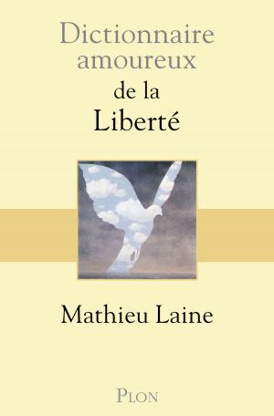 Cover of the book Dictionnaire amoureux de la liberté by Edney SILVESTRE