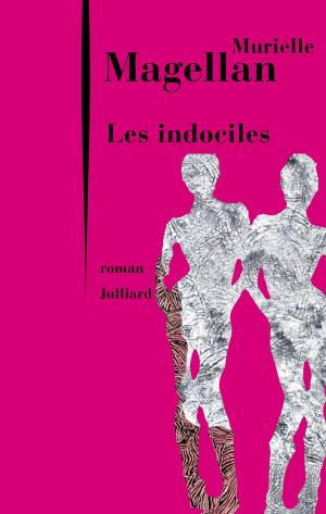 Cover of the book Les Indociles by Frédéric MITTERRAND