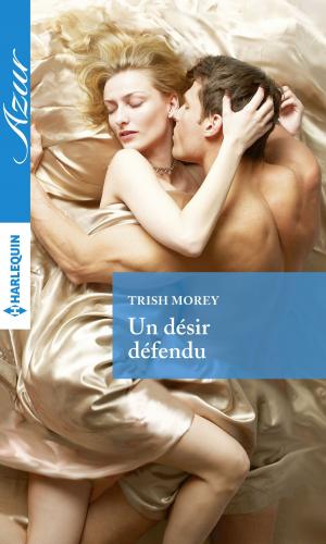 Cover of the book Un désir défendu by Brigid Collins
