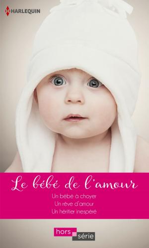 Book cover of Le bébé de l'amour