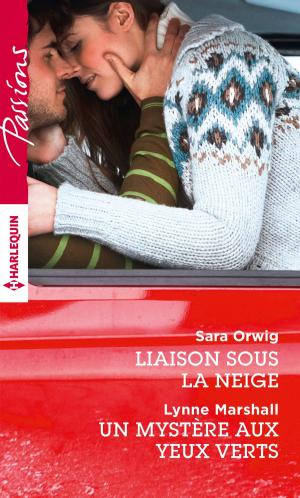 Cover of the book Liaison sous la neige - Un mystère aux yeux verts by Emma Darcy, Michelle Reid, Sandra Marton