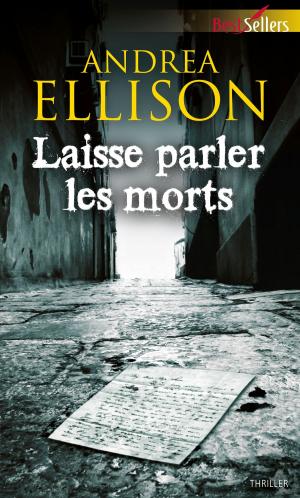 Cover of the book Laisse parler les morts by Sandra Steffen