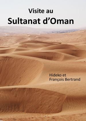 Book cover of Visite au Sultanat d'Oman