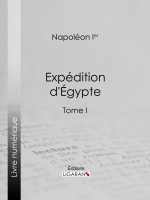 Cover of the book Expédition d'Egypte by Armand Silvestre, Ligaran