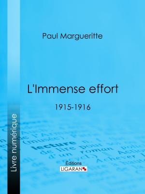 Cover of the book L'Immense effort by Ernest Daudet, Ligaran