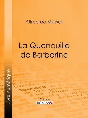 Cover of the book La Quenouille de Barberine by Adolphe-Basile Routhier, Ligaran