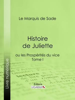 Cover of the book Histoire de Juliette by Eugène Cordier, Ligaran