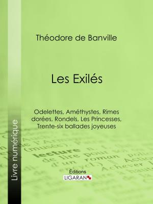 Cover of the book Les Exilés by Louis Lurine, Ligaran