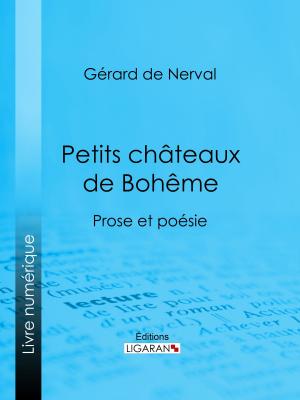Cover of the book Petits châteaux de Bohême by C.A. Herrera