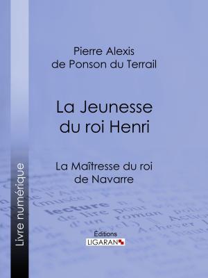 Cover of the book La Maîtresse du roi de Navarre by Anonyme, Ligaran