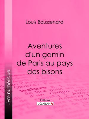 Cover of the book Aventures d'un gamin de Paris au pays des bisons by Guy de Maupassant, Ligaran