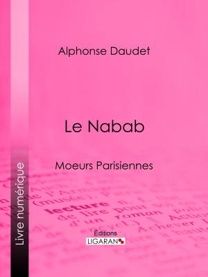 Cover of the book Le Nabab by Alan Ford