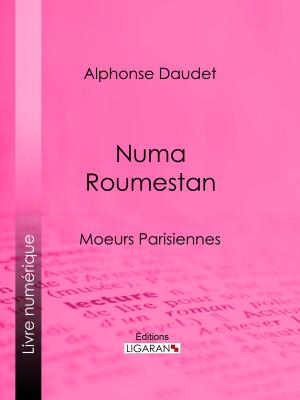Cover of the book Numa Roumestan by Henri d'Alméras, Ligaran