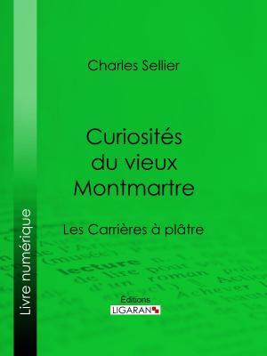 Book cover of Curiosités du vieux Montmartre