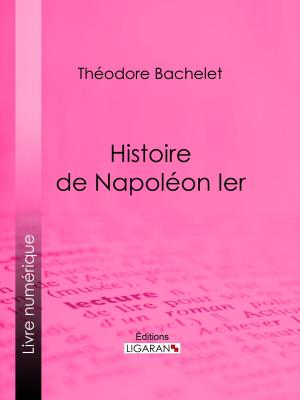 Cover of the book Histoire de Napoléon Ier by Hippolyte Taine, Ligaran