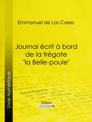Cover of the book Journal écrit à bord de la frégate "la Belle-poule" by Eric Bray