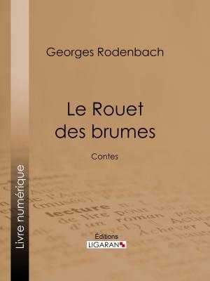 Cover of the book Le Rouet des brumes by Voltaire, Louis Moland, Ligaran