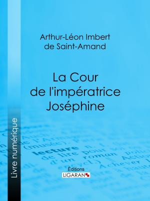 Book cover of La Cour de l'impératrice Joséphine