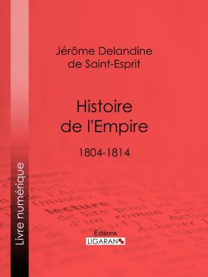 Cover of the book Histoire de l'Empire by Eugène Labiche, Ligaran