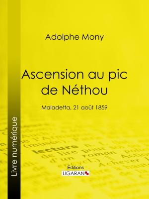 Cover of the book Ascension au pic de Néthou by Laure Junot d'Abrantès, Ligaran