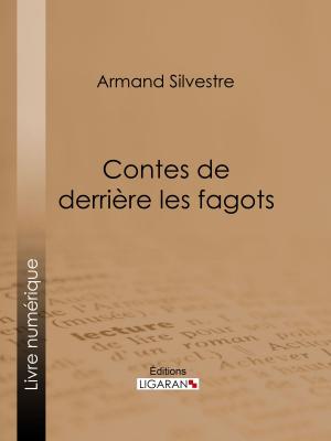 Cover of the book Contes de derrière les fagots by Prosper de Lagarde, Ligaran