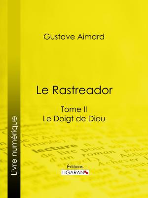 Book cover of Le Rastreador
