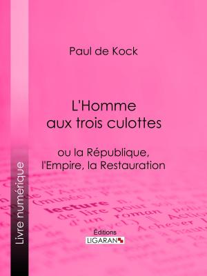 Cover of the book L'Homme aux trois culottes by Voltaire, Ligaran