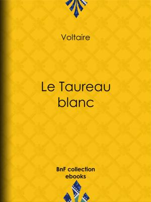 Book cover of Le Taureau blanc