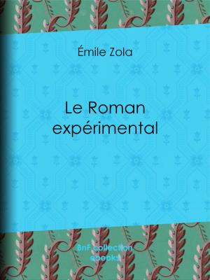 Cover of the book Le Roman expérimental by Rodolphe Töpffer